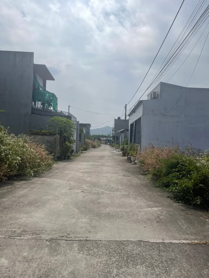 Đất nền Tam Phước Long Điền 100m² giá 1.05 tỷ - Cơ hội vàng cho nhà đầu tư!