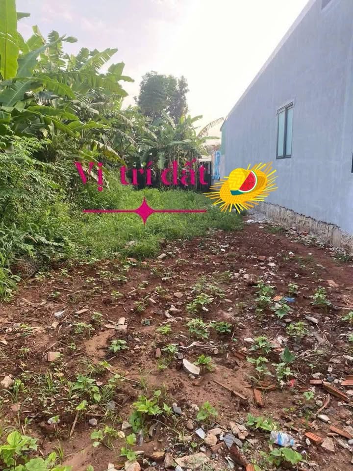 Đất nền Hoà Long TP Bà Rịa 182m² giá 1.59 tỷ - Đường bê tông ô tô vào tận nơi!