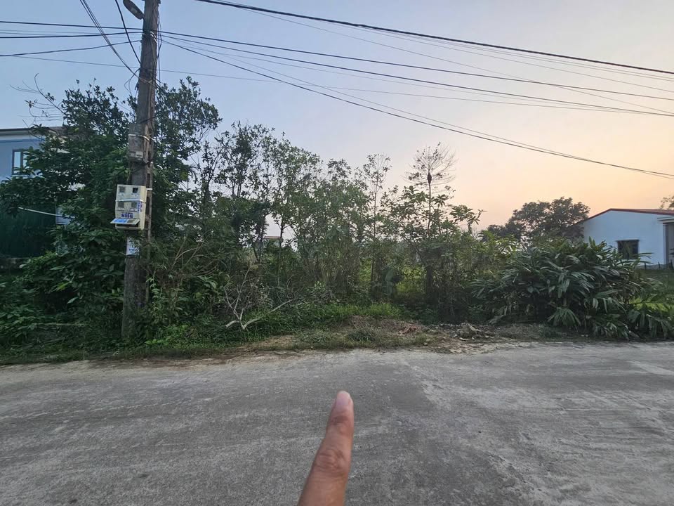 Đất tại TDP Kỷ Các, xã Tân Lâm Hương, 444m² giá 2.5 tỷ - Hạ tầng hoàn thiện!