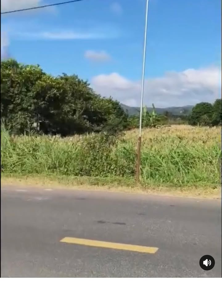 Đất nền Tỉnh Lộ 9, phường Tân Tiến, 300m² giá 1.29 tỷ - Cơ hội đầu tư hấp dẫn!