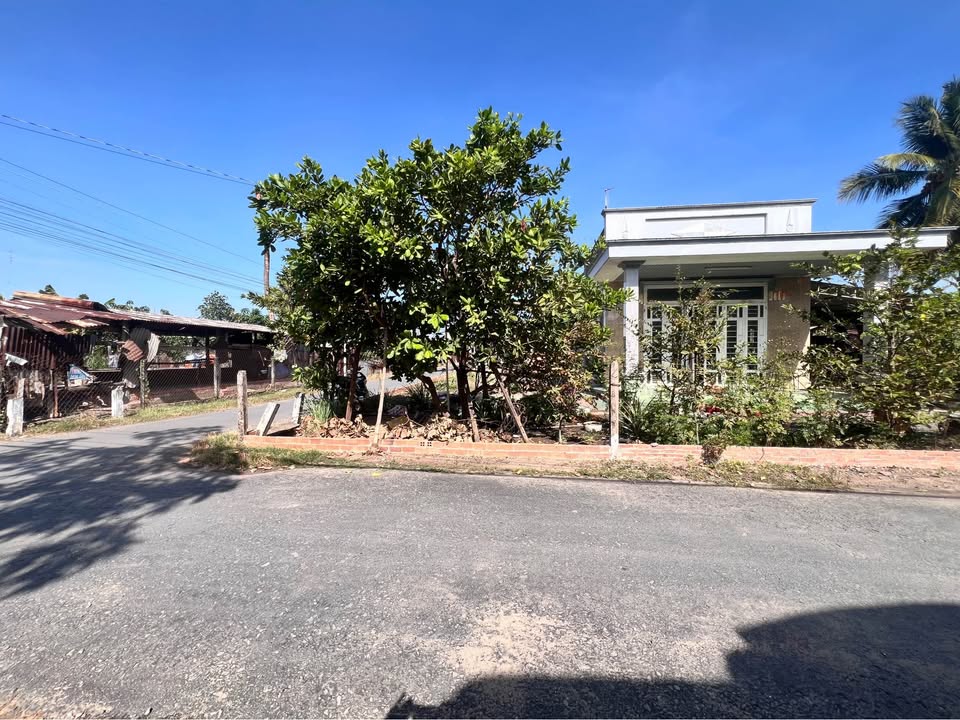 Đất nền 168m² KP Suối Cao A, Gia Lộc, Tây Ninh - Giá chỉ 130 triệu!