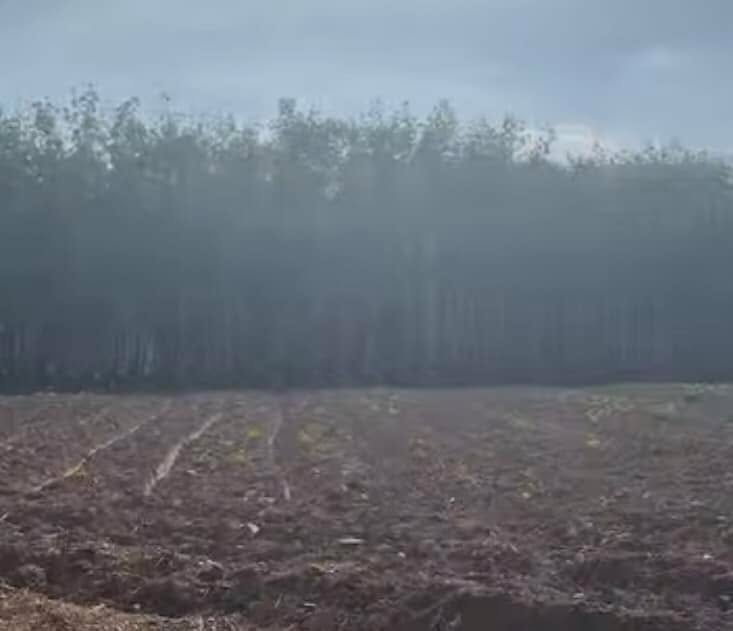 Đất nền 1ha tại khu phố 8 Tân Lập, Đồng Phú - Giá 3.1 tỷ, chính chủ!