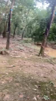 Đất Farm 1.7ha tại Đồng Tiến, Đồng Phú - Giá chỉ 2 tỷ, cơ hội đầu tư hấp dẫn!