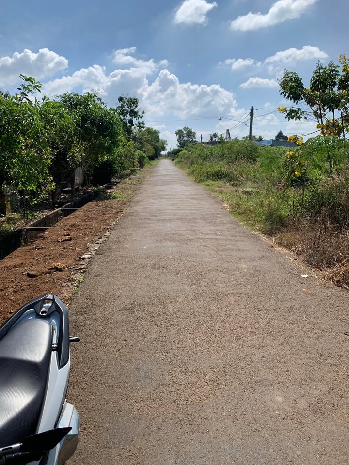 Đất nền đường nhựa Đức Tín, 500m², giá 900 triệu - Cơ hội đầu tư hấp dẫn!