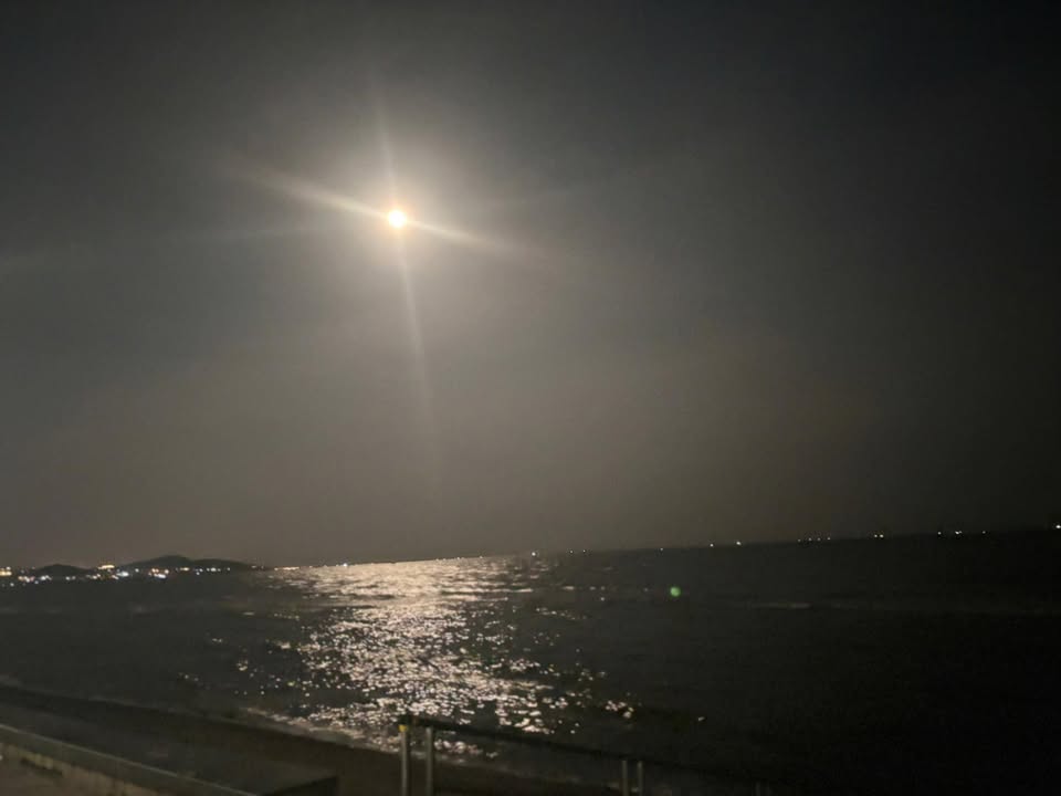 Đất nền Đức Tín, Đức Linh 360m² giá 450 triệu - Sổ đỏ chính chủ, đầu tư sinh lời!