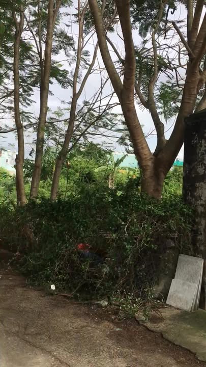 Đất nền Điện Nam Bắc 144m² giá chỉ 1 đồng - Tiện ích gần chợ, trường học