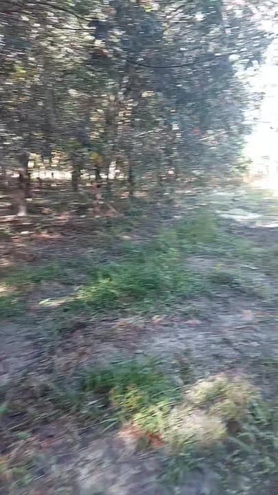 Đất nền 3ha tại ấp 6, xã Suối Ngô, Tây Ninh giá 130 tỷ - Cơ hội đầu tư hấp dẫn!