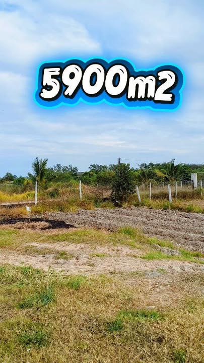 Đất vườn nghỉ dưỡng 5900m² tại Tây Ninh - Giá cực tốt chỉ 1.05 tỷ!