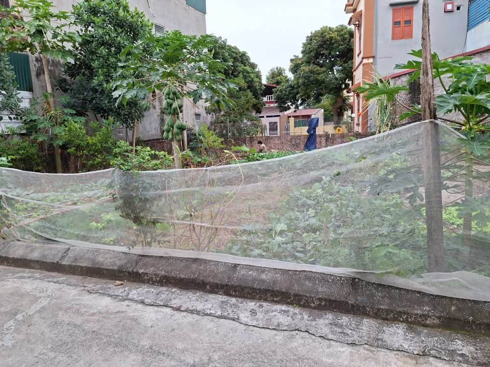 Lô đất Cẩm Giang 75m² giá 800 triệu - Đầu tư sinh lời ngay!