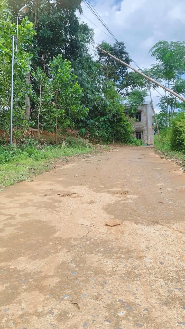 Đất nền Kiên Thọ Ngọc Lặc 130m² - Tiềm năng phát triển mạnh mẽ!