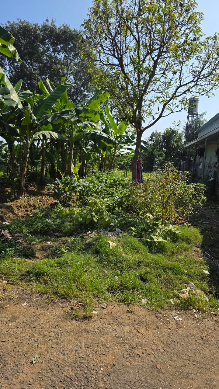 Đất Lộc Thành Bảo Lâm 138.5m² giá 1.35 tỷ - Sổ hồng chính chủ, sẵn thổ cư!