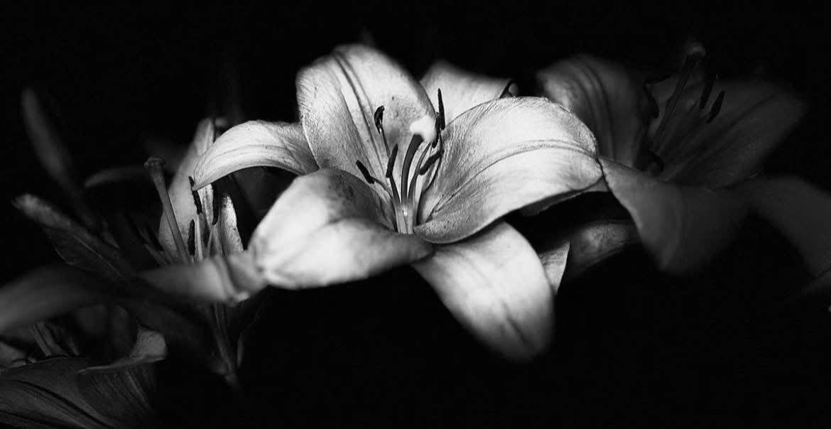 Dãy trọ 5 phòng tại Dương Đình Hội, 85m² chỉ 5.2 tỷ - Đầu tư sinh lời ngay!