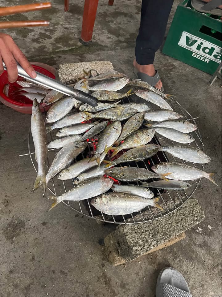 Đất Hưng Hòa Vinh 75m² giá 1 tỷ - Đường thông thoáng, đầu tư sinh lời!