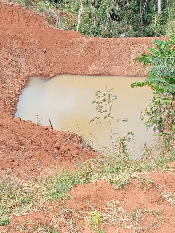 Đất nền thổ cư 2ha tại thôn 5, Quảng Tâm, Tuy Đức - Giá chỉ 1 tỷ VND