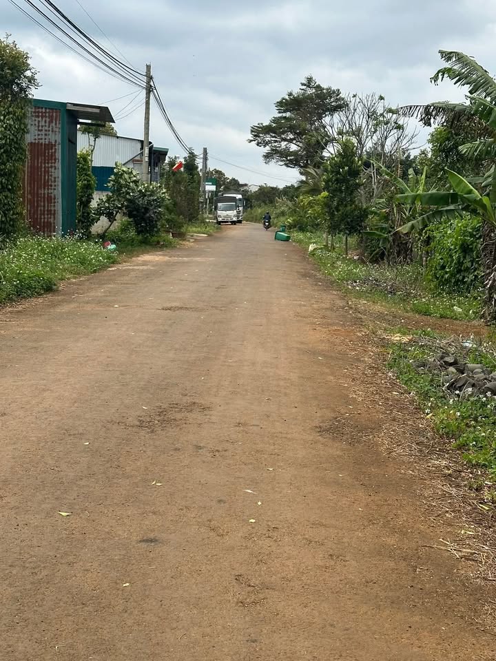 Đất nền Đắk Mil 800m² giá chỉ 3.7 tỷ - Cơ hội đầu tư không thể bỏ qua!