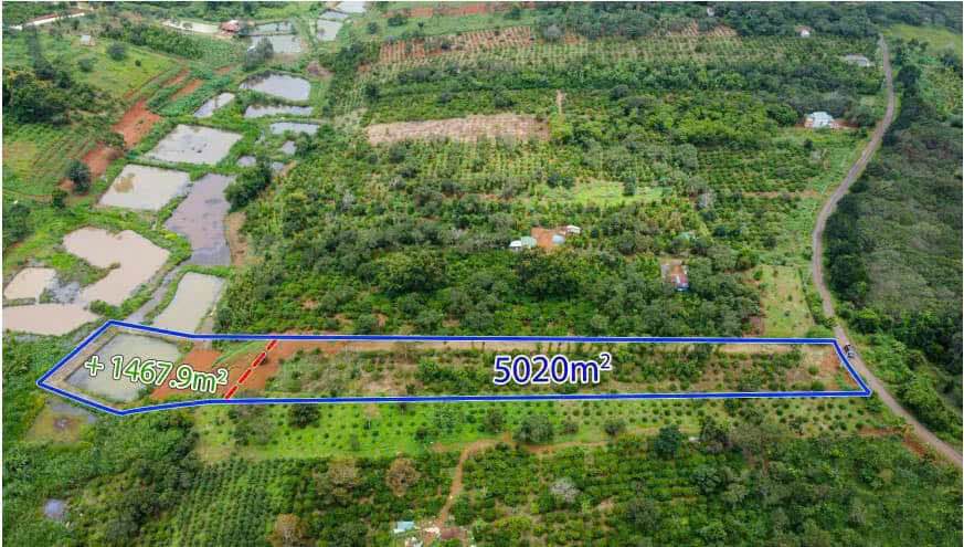 Đất nền Quảng Thành 6500m² giá 2.2 tỷ - Sổ đỏ chính chủ, mặt tiền đường nhựa