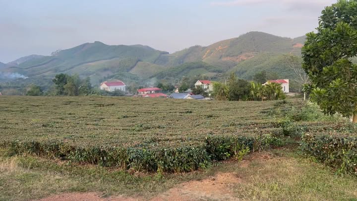 Đất nền 2,2ha Ngọc Đồng Phú Thọ - Đầu tư nghỉ dưỡng lý tưởng!