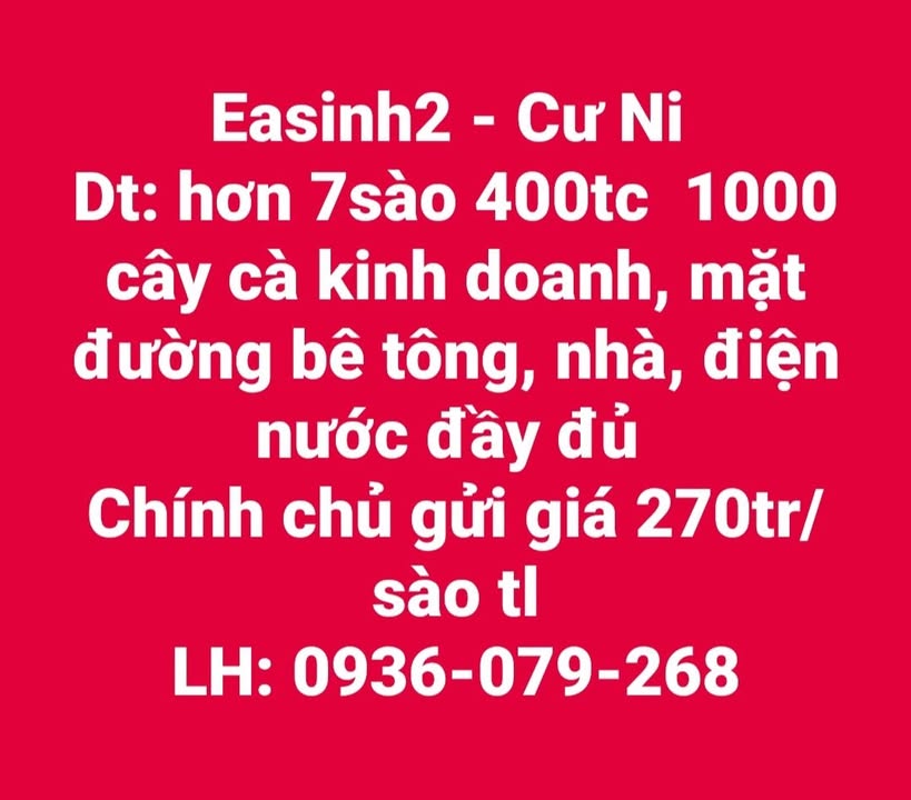 Farm 25200m² tại Cư Ni, Ea Kar - Giá chỉ 2.052 tỷ, sẵn sàng kinh doanh!