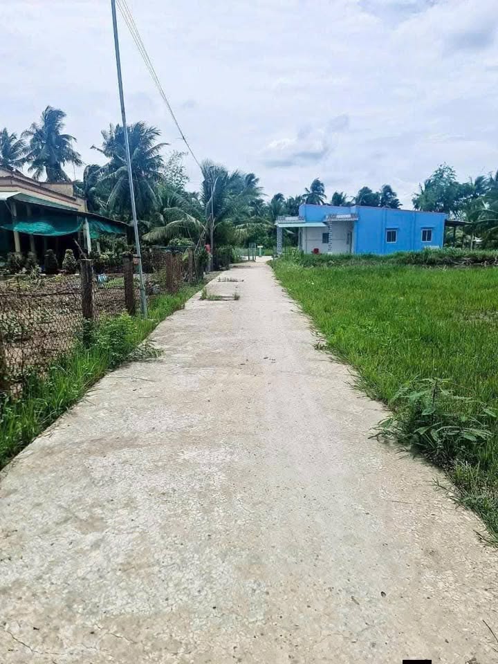 Đất nền 300m² tại Thành Công, Gò Công Tây - Giá 499 triệu, Bán Gấp!