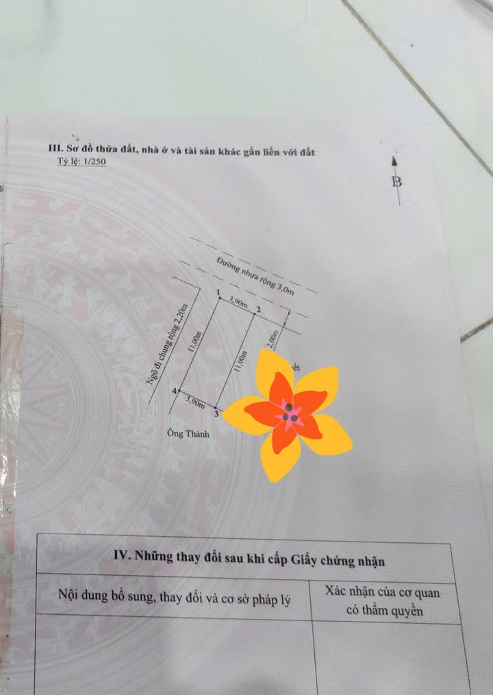 Đất nền Đồng Hòa Kiến An 43m² giá mềm - Cơ hội đầu tư tuyệt vời!