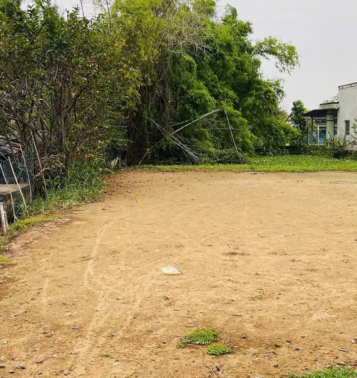 Đất mặt tiền xã Đại Hoà Lộc, Bình Đại 125m² giá 340 triệu - Sổ đỏ chính chủ, sang tên nhanh chóng!