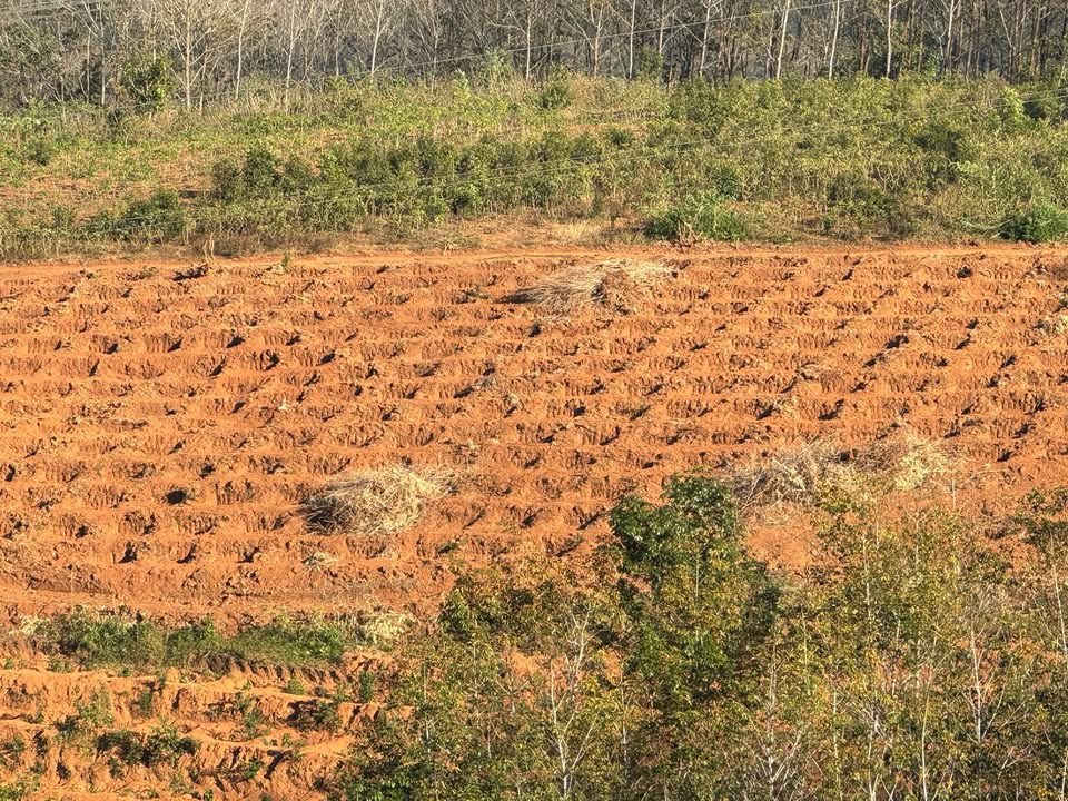 Đất Farm 1,5ha tại Đắk Dục, Ngọc Hồi, Kon Tum - Giá rẻ, cơ hội đầu tư hấp dẫn!