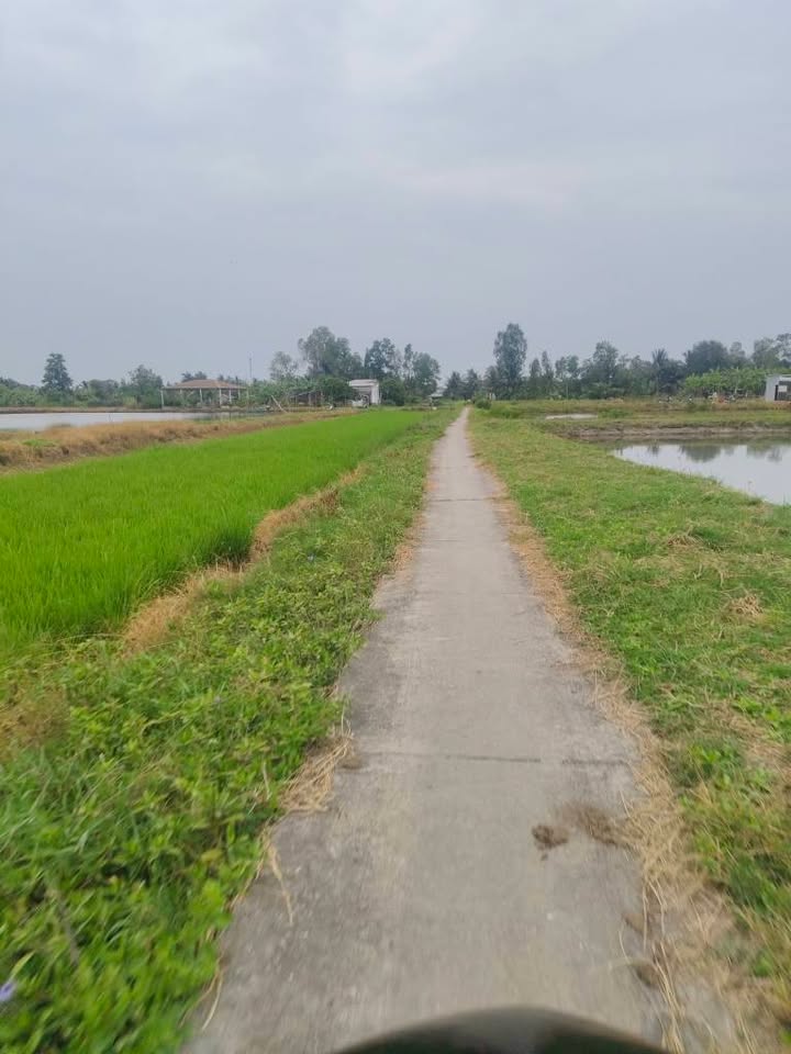 Đất ao tôm 2 mặt tiền Thạnh Quới 61.200m² giá 1.2 tỷ - Cơ hội đầu tư sinh lời!