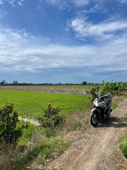 Đất vườn 7.381m² tại Mỹ Hòa, Long Xuyên - Giá chỉ 1.05 tỷ đồng!