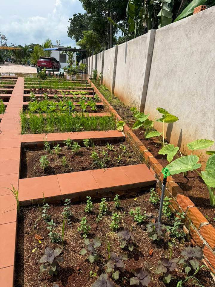 Đất thổ cư 150m² đường Tín Nghĩa, Bình Lộc - Sổ đỏ chính chủ, giá 500 triệu!