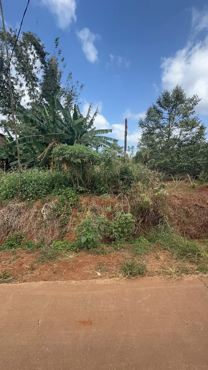 Đất thổ cư mặt tiền đường Ea Hding cũ, xã Cư M'gar 600m² - Đầu tư sinh lời ngay!