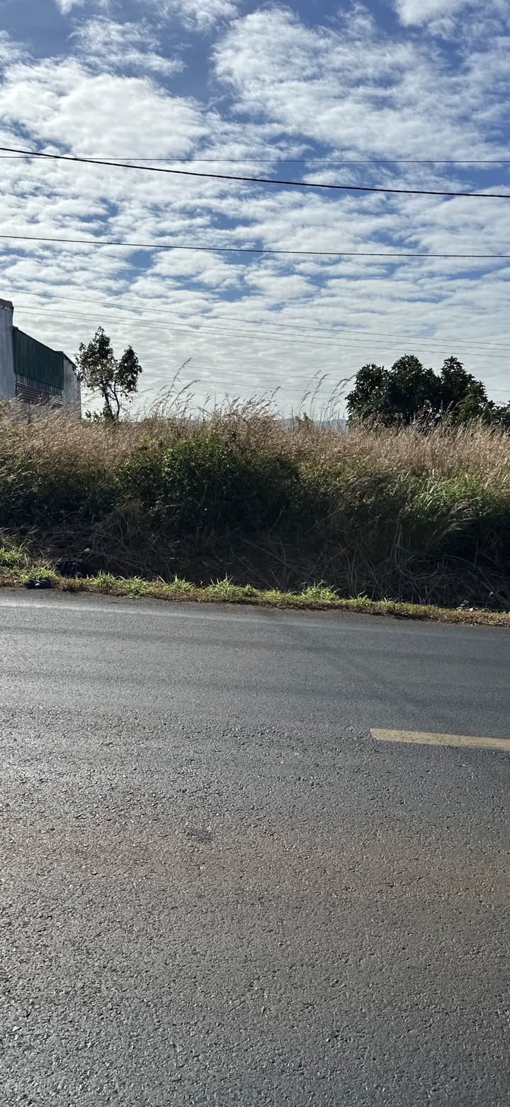 Đất nền xã Ia Grai, Gia Lai 1664m² giá 16.65 tỷ - Sổ đỏ chính chủ!