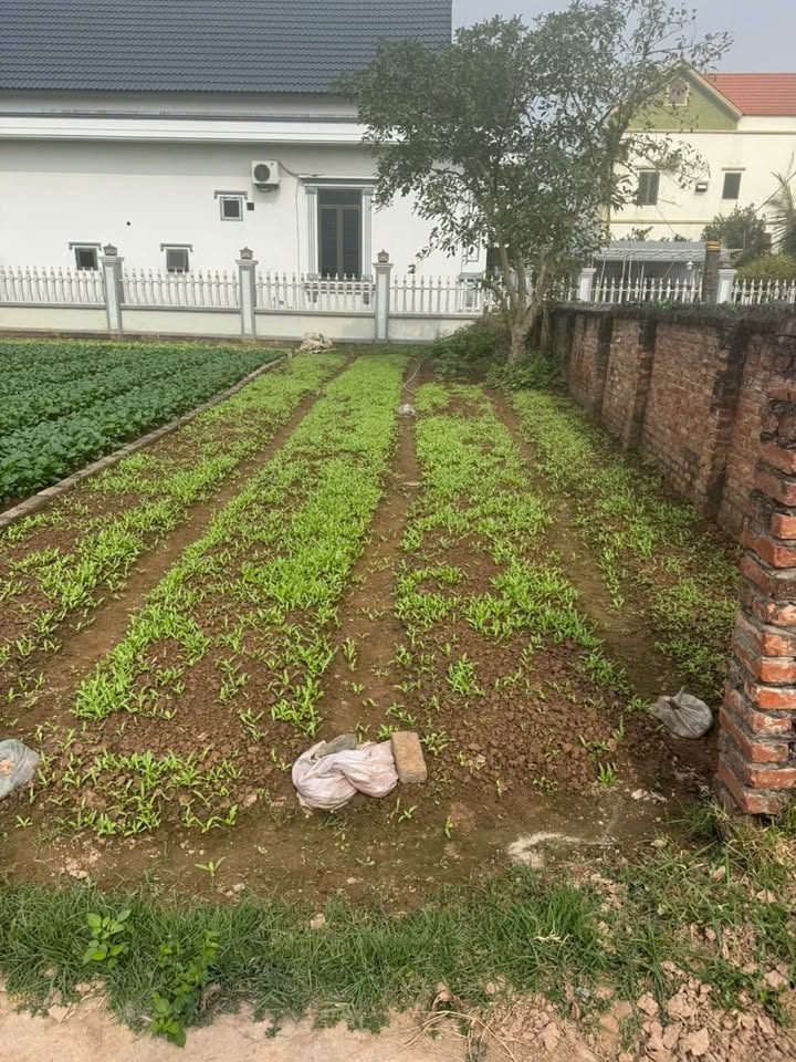 Đất nền Chương Dương, Thường Tín 86m² giá 4.892 tỷ - Đường thông ô tô tải, cơ hội đầu tư sinh lời!