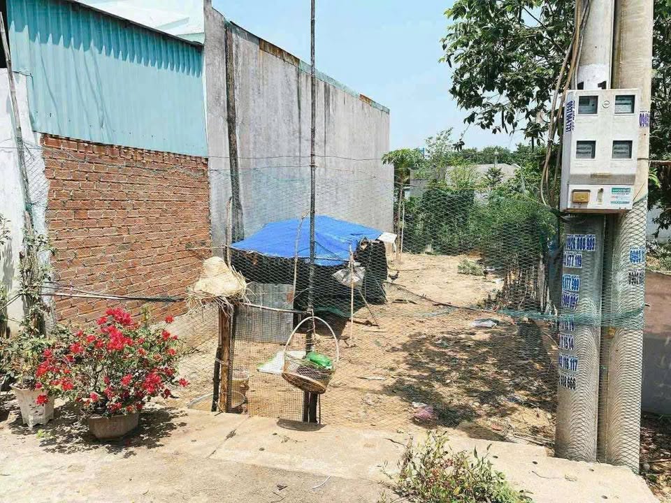 Đất thổ cư Tân Định, Bến Cát 90m² giá 1.4 tỷ - Cơ hội đầu tư tuyệt vời!