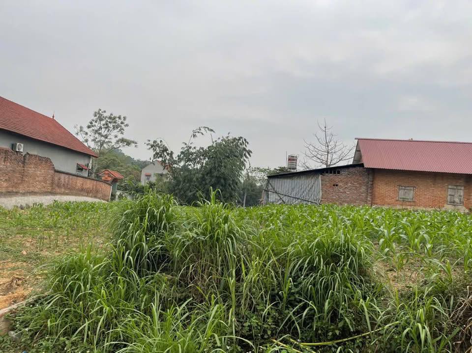 Đất nền Thạch Thất 100m² giá 400 triệu - Đầu tư sinh lời ngay!