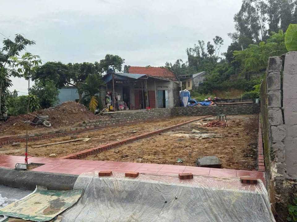 Đất mặt đường Liên Khê Thủy Nguyên 88m² giá 1 tỷ - Kinh doanh đỉnh cao!