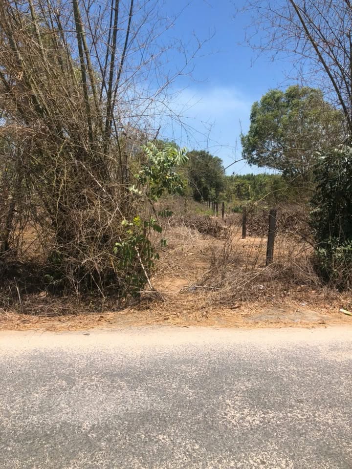 Bán lô đất đẹp tại đường Cù Chính Lan, xã Tân Bình, La Gi 1000m² - Gần biển, thuận tiện kinh doanh!