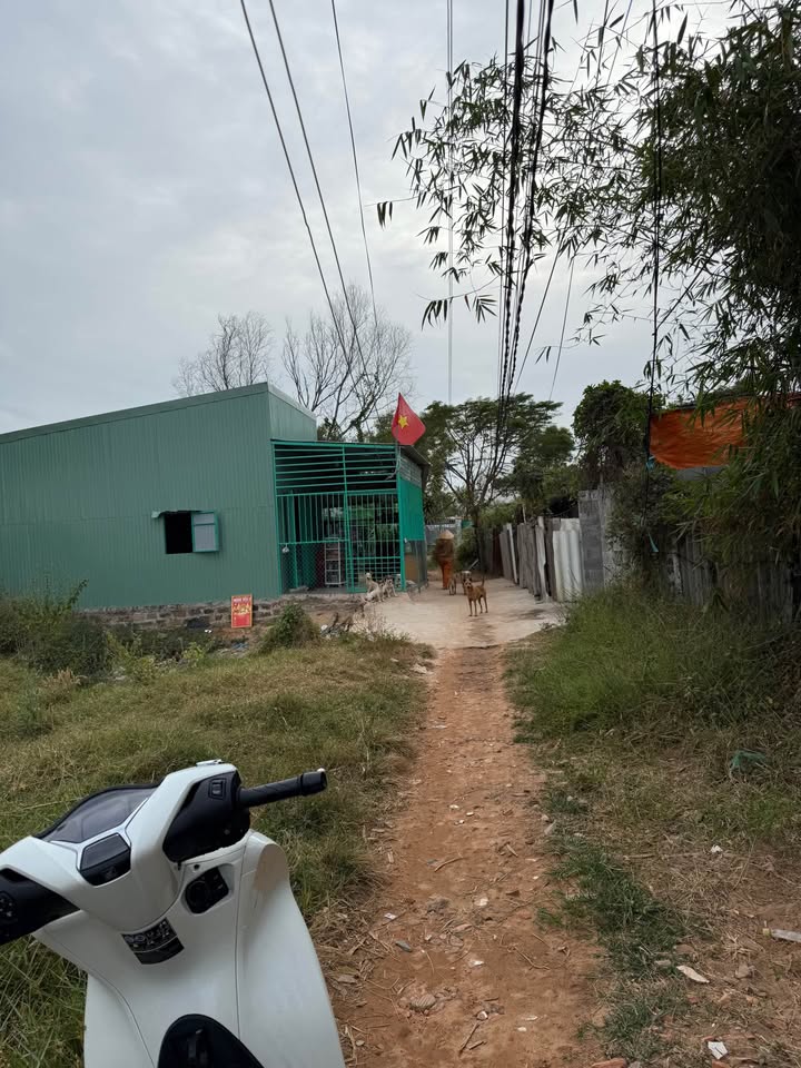 Đất nền Đức Long Phan Thiết 55m² giá 160 triệu - Đầu tư sinh lời ngay!