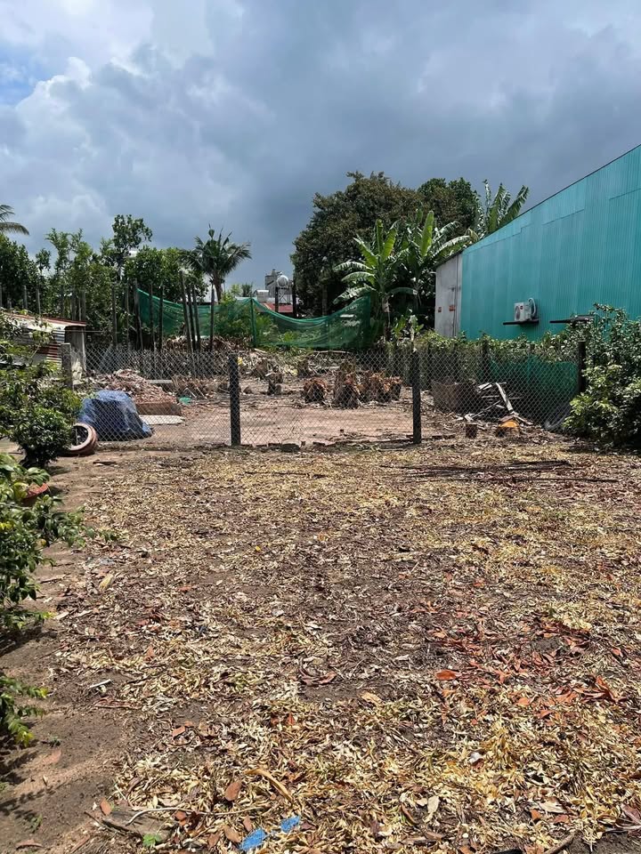 Đất thổ cư 256m² tại 202 Nguyễn An Ninh, Đức Linh - Cơ hội đầu tư tuyệt vời!