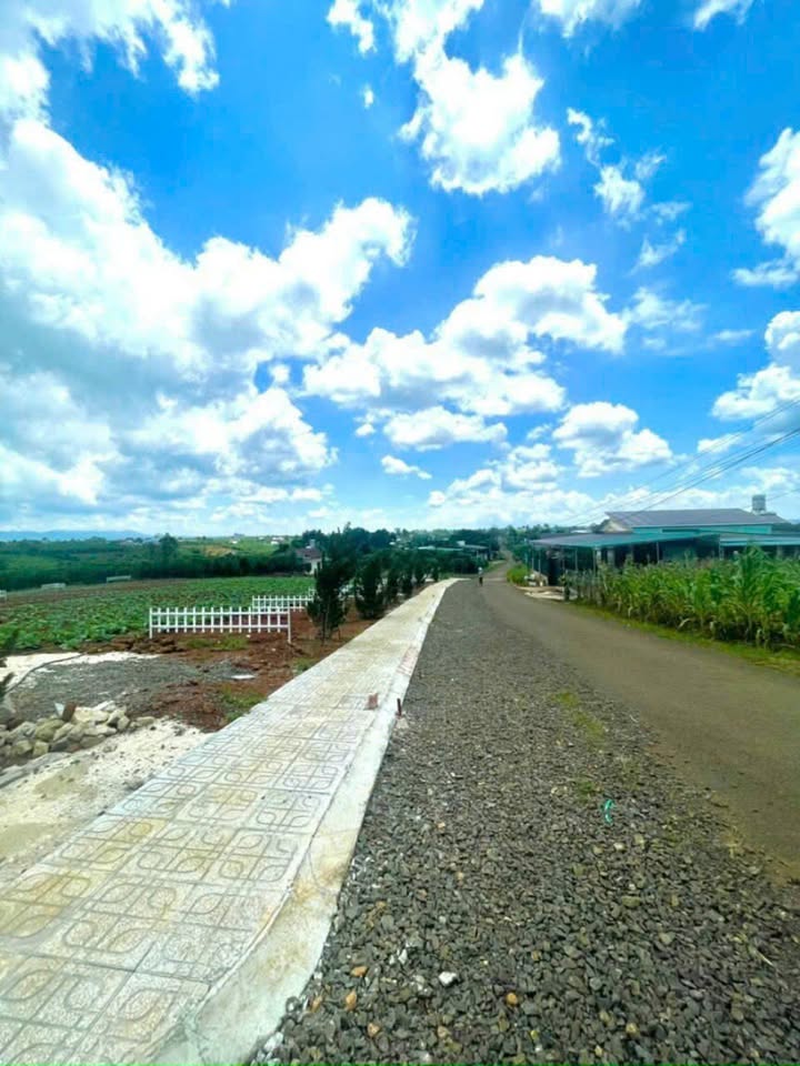 Đất nền Lộc Quảng - Bảo Lâm 945m² giá 1.8 tỷ - Nhanh tay kẻo lỡ!