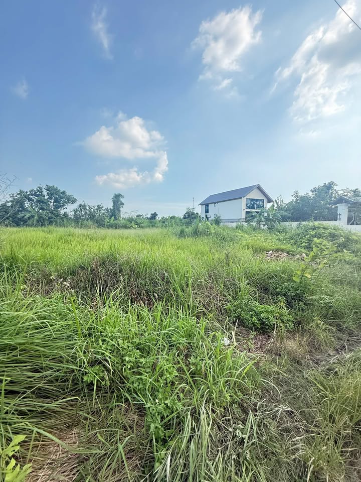 Đất nền xã Tây Kỳ, Tứ Kỳ, Hải Dương 140m² giá 2 tỷ - Cơ hội vàng cho nhà đầu tư