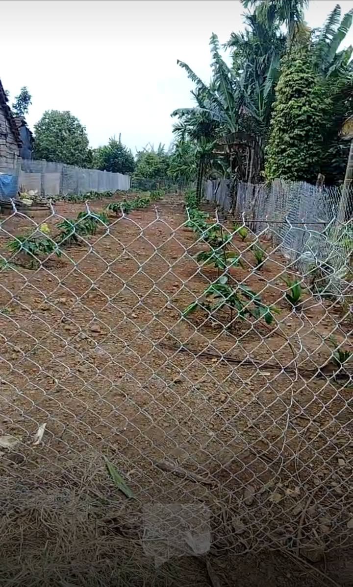 Đất thổ cư 350m² tại Krông Pắc - Giá chỉ 3.5 tỷ, cơ hội đầu tư tuyệt vời!