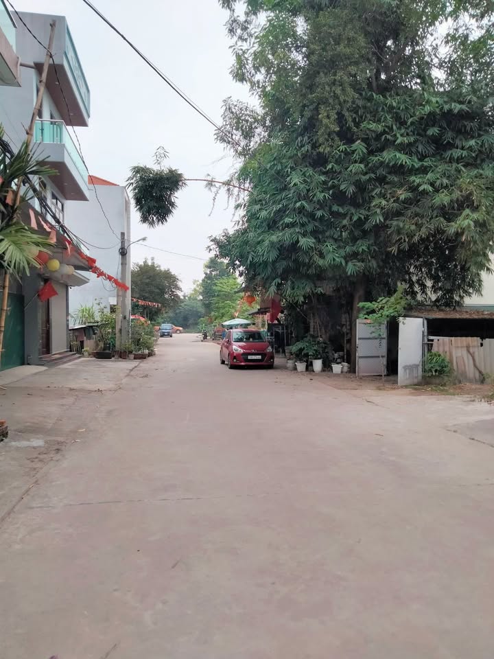 Nhà cấp 4 cho thuê tại Khu phố Chàng Nam, Việt Trì 85m² - Mới xây, sạch sẽ, thoáng mát!