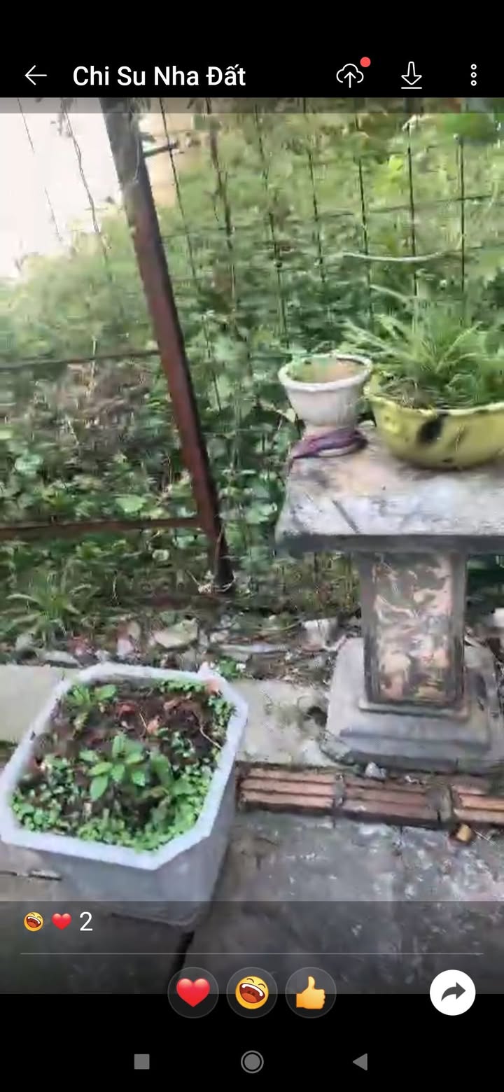 Đất nền Ngô Quyền Hải Phòng 75m² giá 999 triệu - Tiềm năng đầu tư cao!