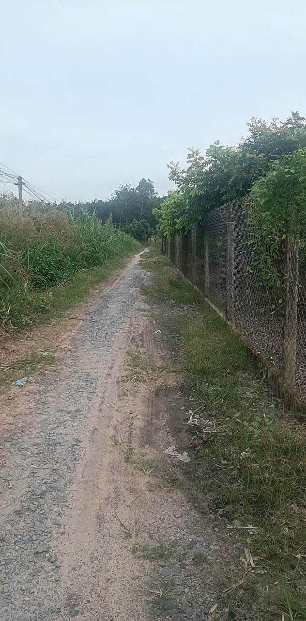 Đất nền Trường Đông Hòa Thành 2400m² giá 600 triệu - Cơ hội đầu tư hấp dẫn!