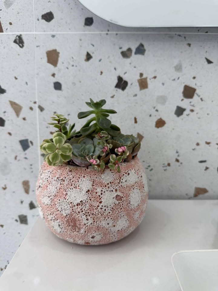 Nhà mặt tiền Nguyễn Tri Phương, Mỹ Tho 2PN giá 7 triệu - Sẵn sàng cho thuê ngay!