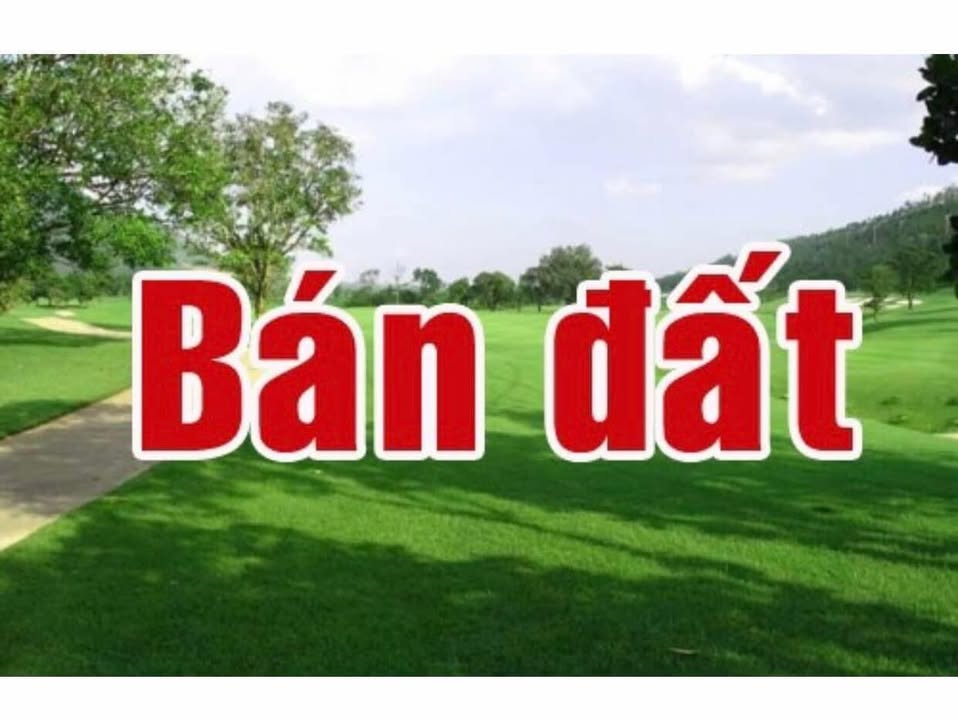 Đất nền Cư Jút 264m² giá 2.57 tỷ - Vị trí đắc địa, thuận tiện xây nhà!