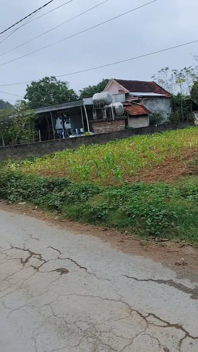 Đất liền kề đường 15A Nghĩa Hồng 270m² - Pháp lý rõ ràng, cơ hội đầu tư hấp dẫn!