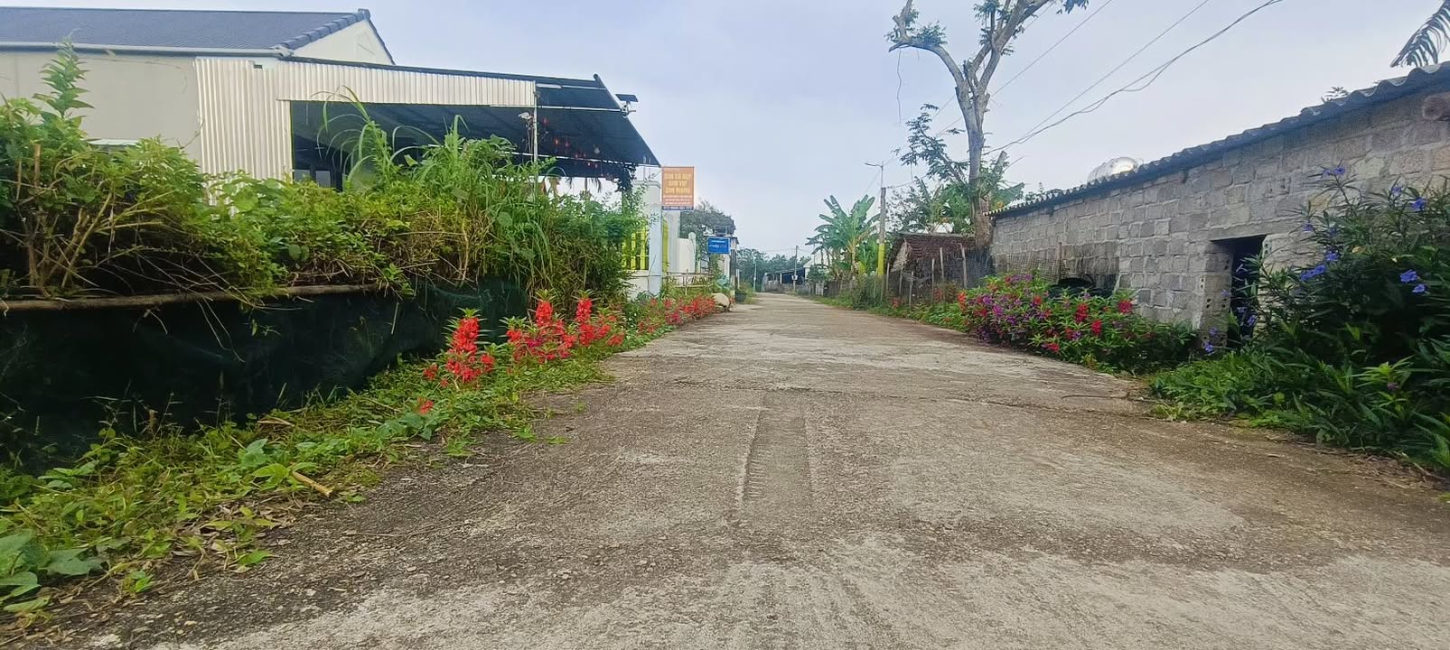 Đất Thổ Cư 300.24m² tại Đường 1/5, Thái Hòa chỉ 1 tỷ - Đầu tư sinh lời hấp dẫn!