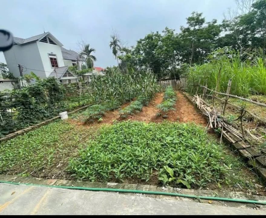 Đất nền Tân Minh, Sóc Sơn 70m² giá 1.5 tỷ - Gần trường học và tiện ích