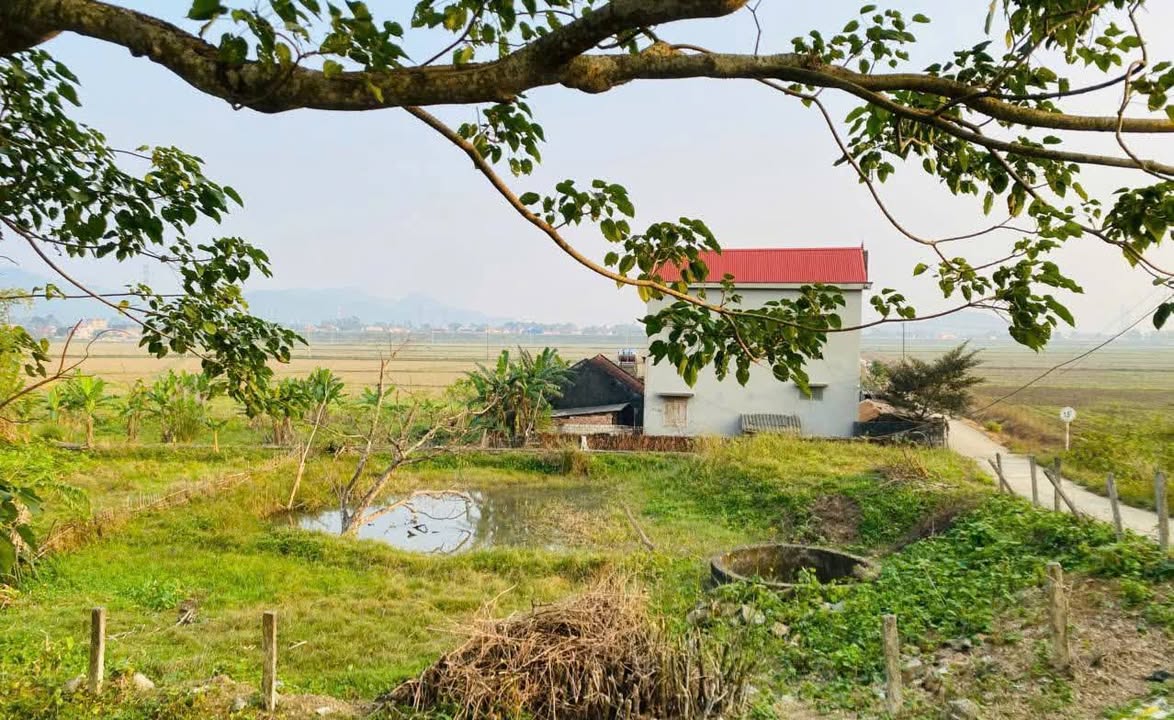 Đất Yên Định Thanh Hóa 182m² giá thương lượng - Cơ hội đầu tư hấp dẫn!